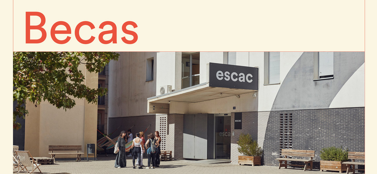 Information session on the Undergraduate Access Grants