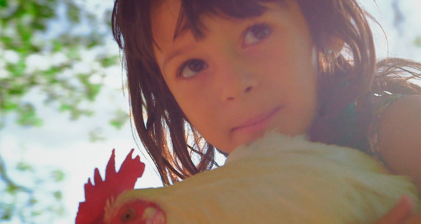 ‘Animal salvatge’, corto de fin de grado nominado a los Gaudí