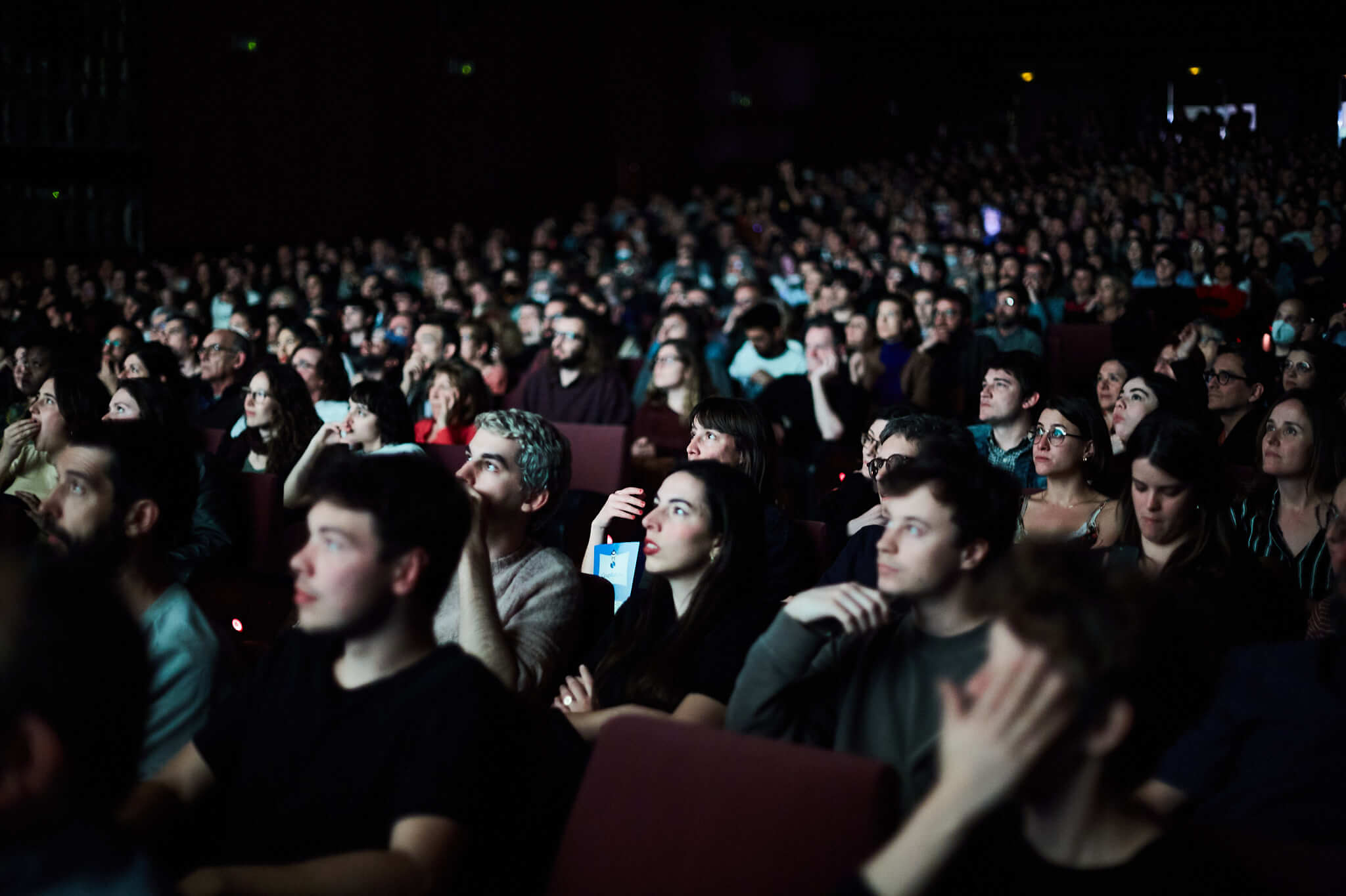Gran presència del nostre alumni al D’A Film Festival