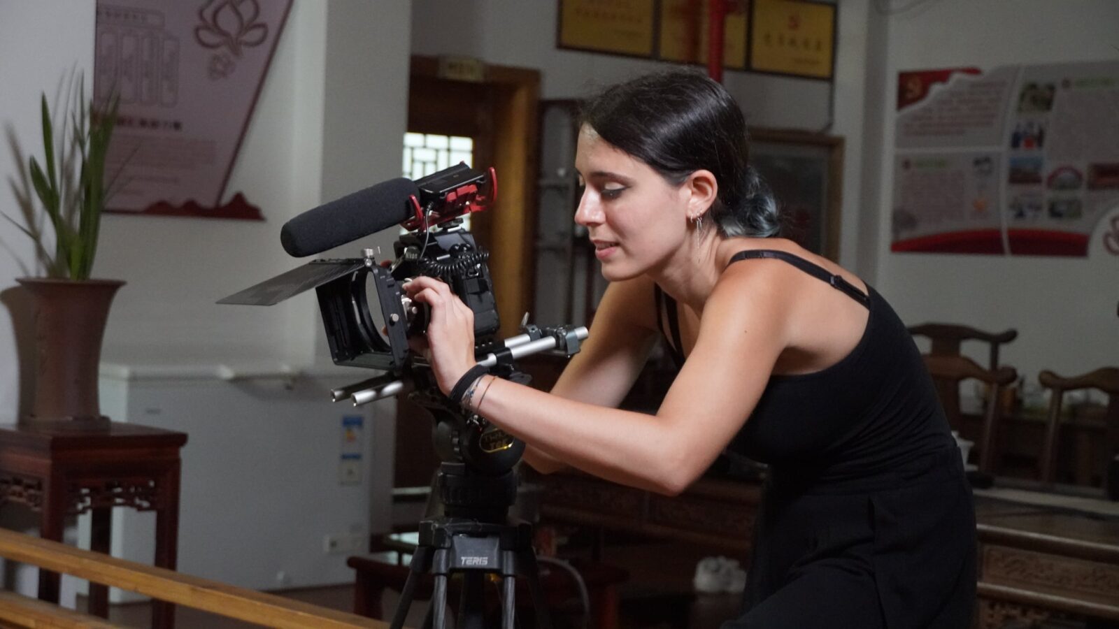Salida profesional de documental